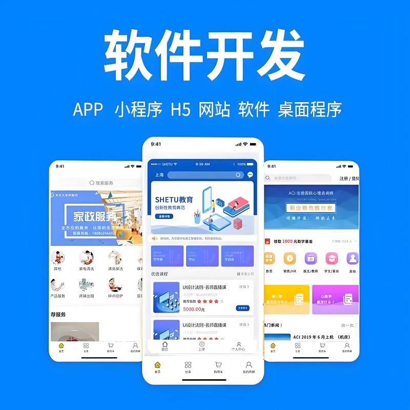 上海软件开发行业：科技与创新的交汇点