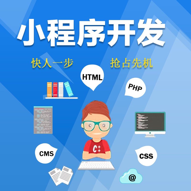 软件定制开发：企业成长的引擎
